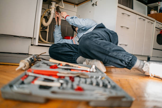 Best Clogged Drain Plumber  in Ives Estates, FL