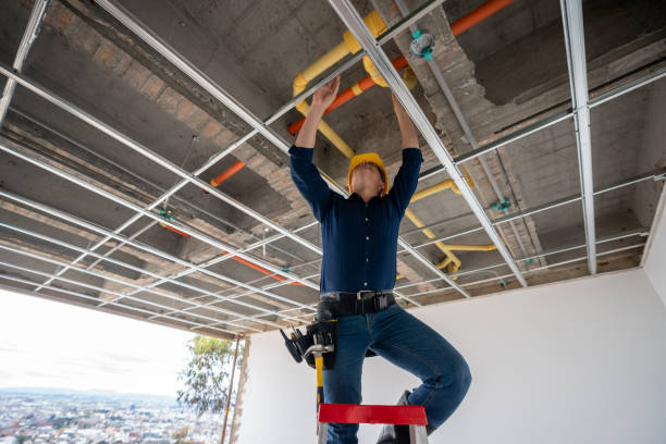 Best Local Plumber Services  in Ives Estates, FL