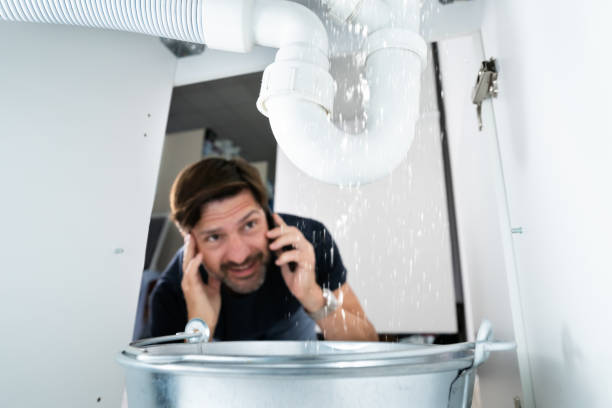 Best Sewer Line Repair  in Ives Estates, FL