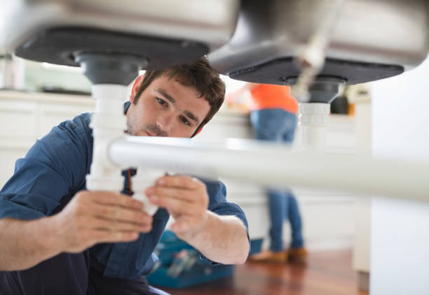 Best Residential Plumbing Services  in Ives Estates, FL