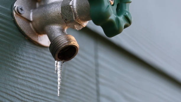 Best Plumbing Repair Near Me  in Ives Estates, FL