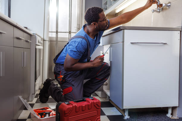 Best Water Softener Installation  in Ives Estates, FL