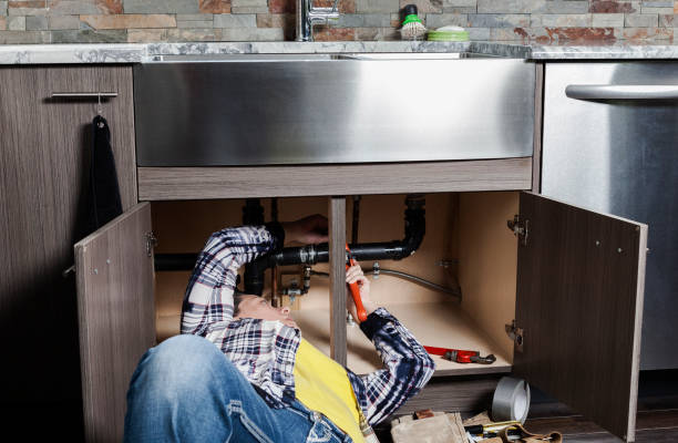 Best Plumbing Services Near Me  in Ives Estates, FL